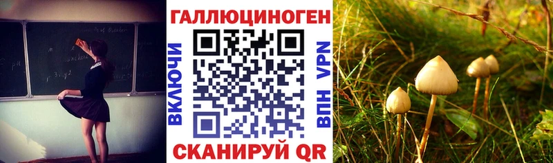 Галлюциногенные грибы GOLDEN TEACHER  Нижний Тагил 